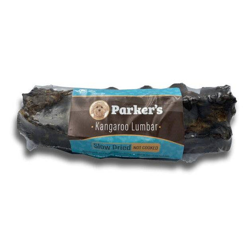 Parker's vertèbre de kangourou déshydratée
