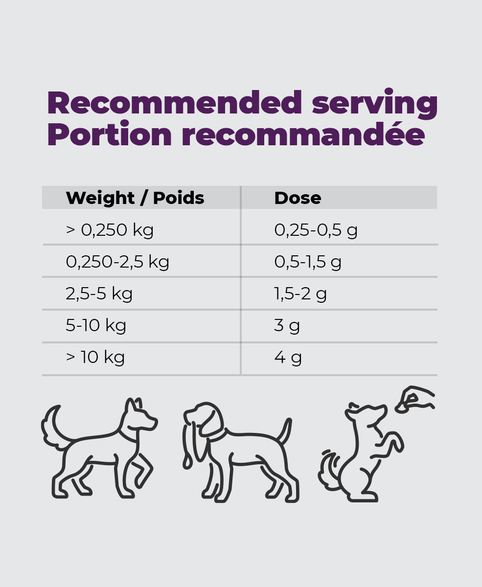 Baci+ pâte probiotique pour chiots et chiens adultes 30g