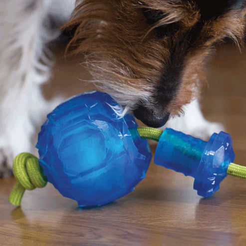 Hero balle à remplir avec corde Freezies