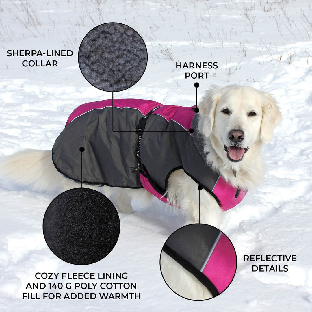 Shedrow manteaux pour chiens Chinook