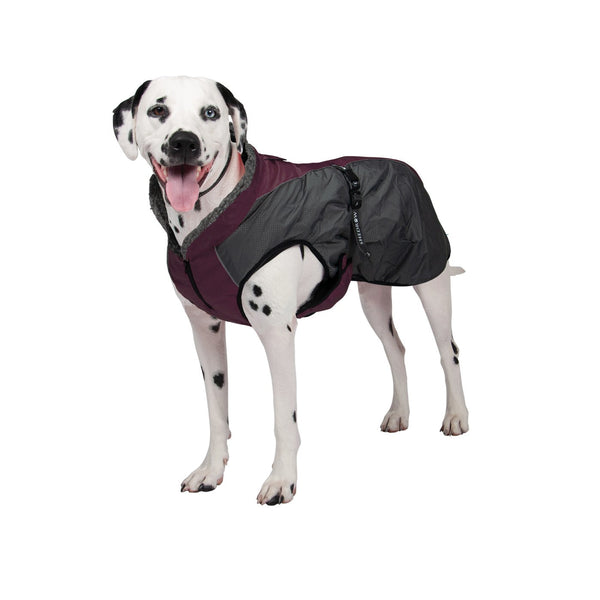 Shedrow manteaux pour chiens Chinook