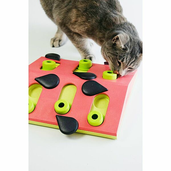PetStages Nina Ottosson jouet interactif pour chats Puzzle & Play Madness Pink