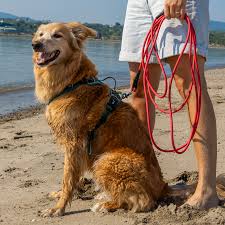 Tella & Stella longe imperméable pour chiens