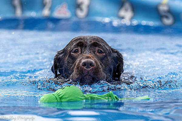Kong jouet pour l'eau Wubba Wet - Grand