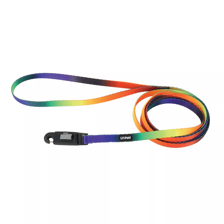 Coastal Li'l Pals Leash for Small Dogs with E-Z Snap Clip 6'