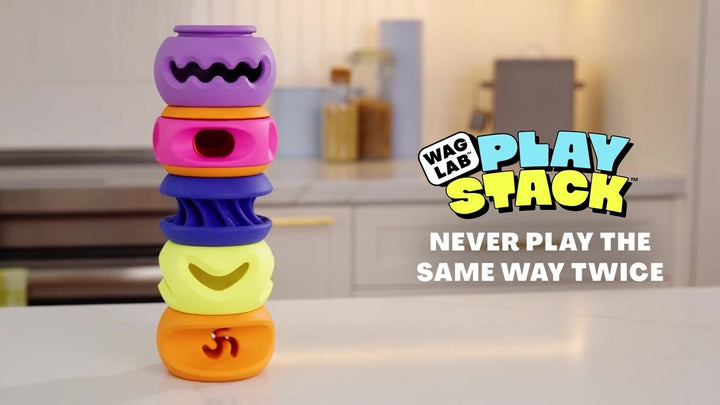 Wag Lab PlayStack jouet interactif The Boomerang