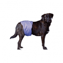 PoochPad bandeau pour mâles PoochPants