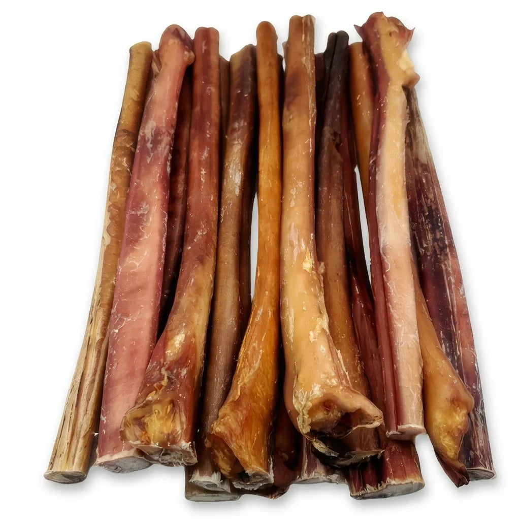 Bâton de boeuf (bully stick) sans odeur Monster 12''