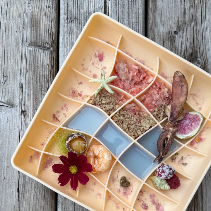 Ollie B Good bol interactif en silicone Wavies - Clementine