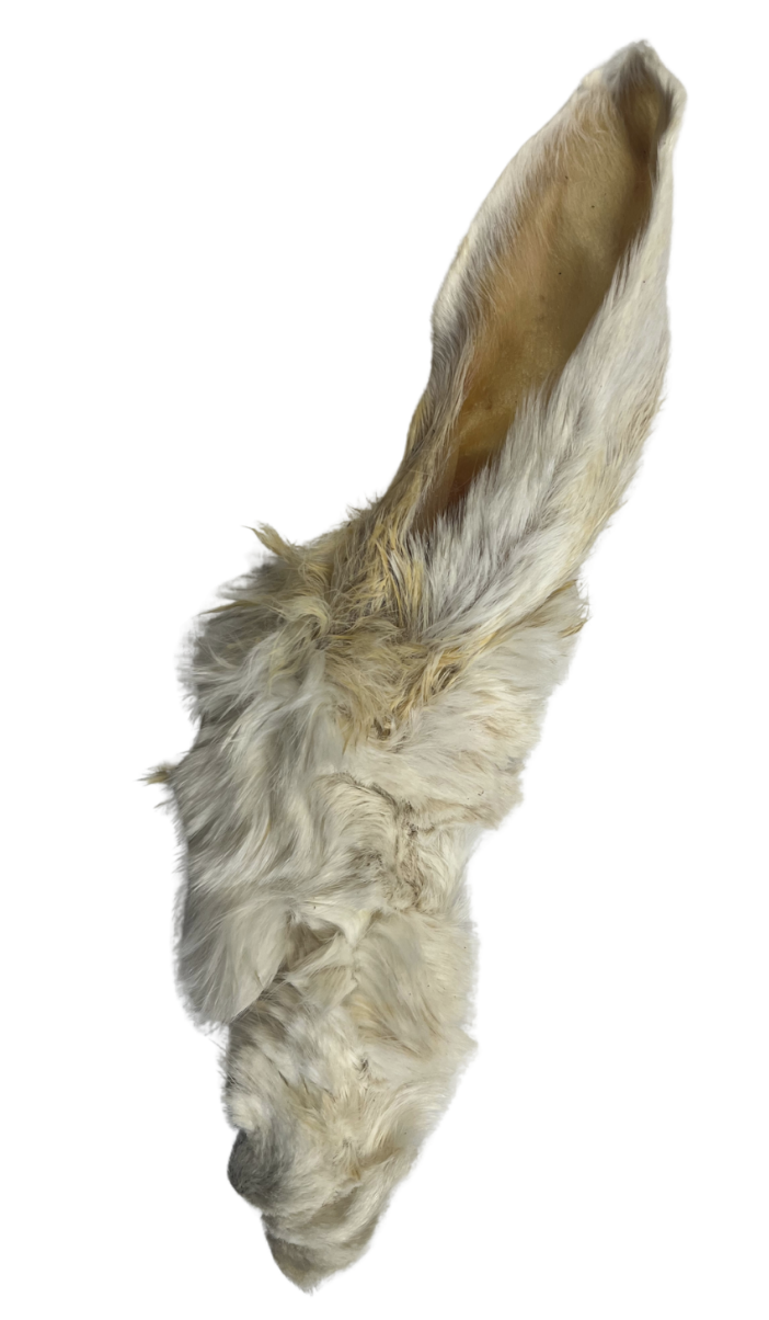 Tubby K9 oreille de lapin complète