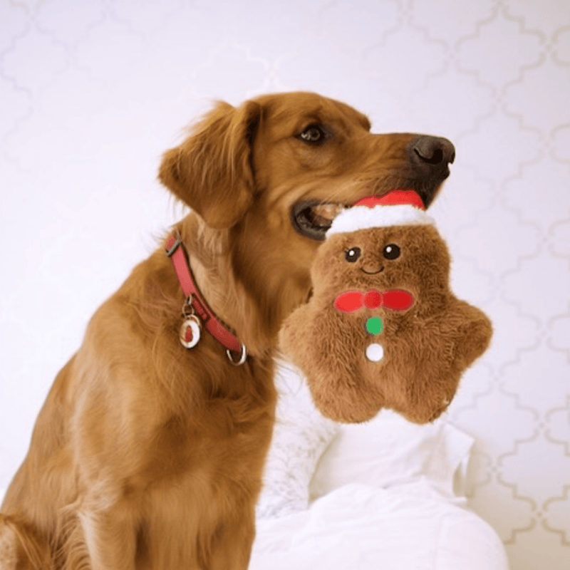 Kong Snuzzles peluche pour chiens édition de Noël Gingerbread