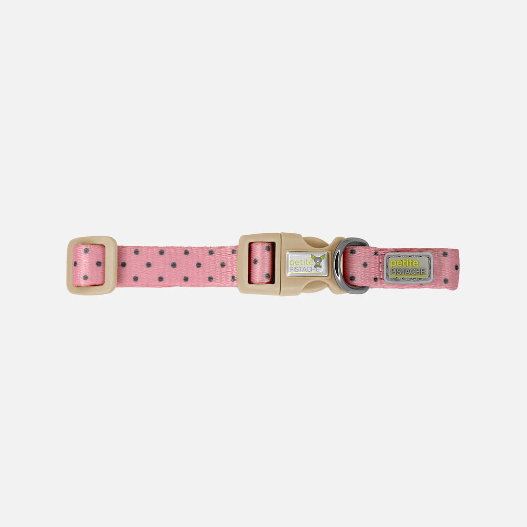 Petite Pistache colliers à clip pour chiens