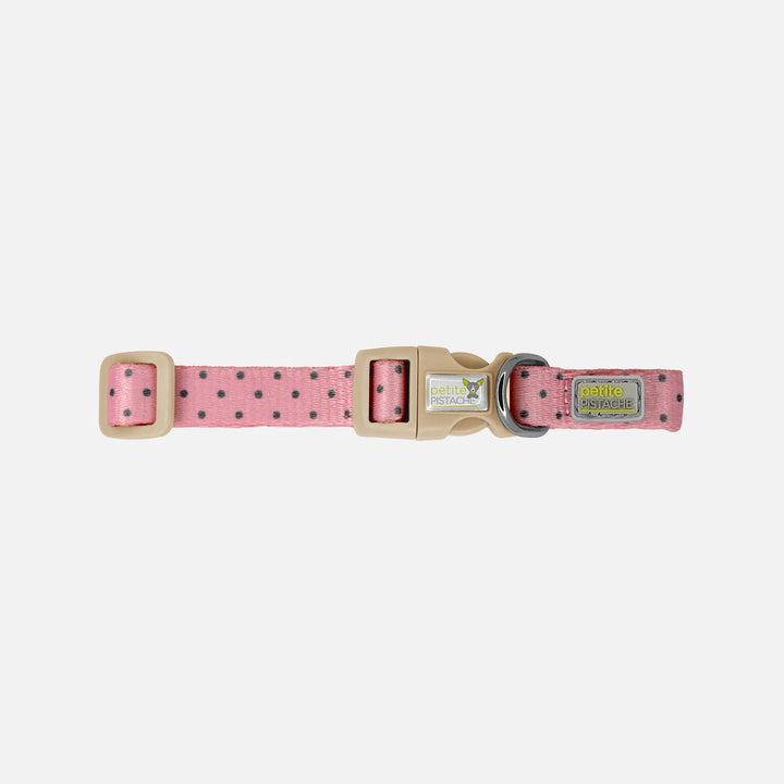 Petite Pistache colliers à clip pour chiens