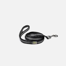 Petite Pistache laisse pour petits chiens 5'
