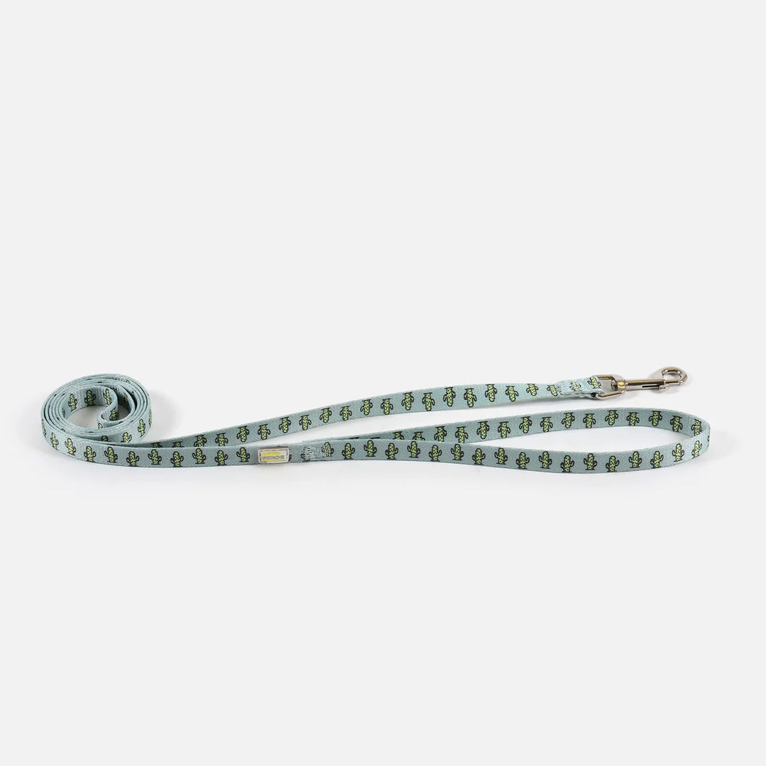 Petite Pistache laisse pour petits chiens 5'