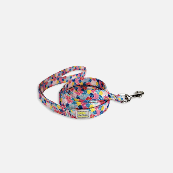 Petite Pistache laisse pour petits chiens 5'