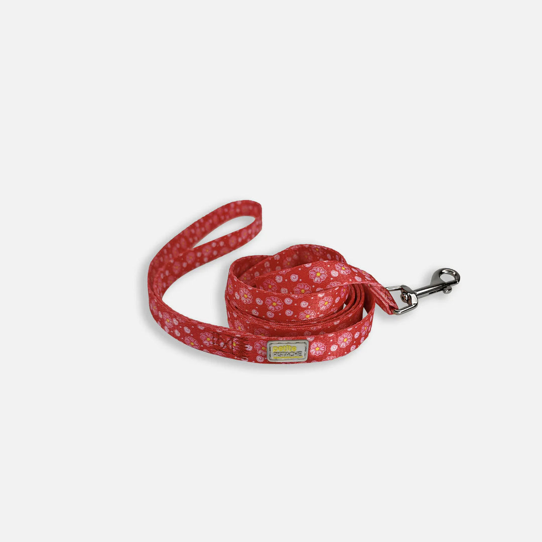 Petite Pistache laisse pour petits chiens 5'