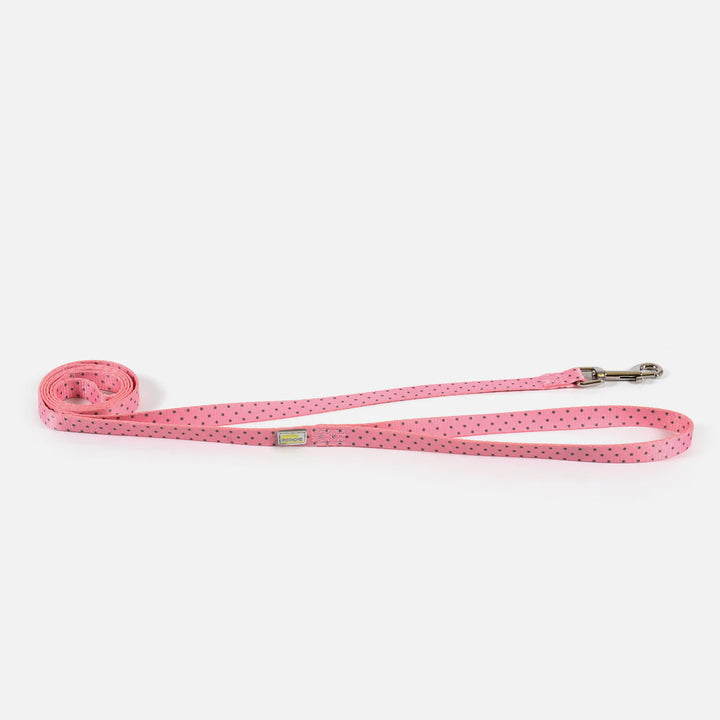 Petite Pistache laisse pour petits chiens 5'