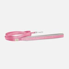 Petite Pistache laisse pour petits chiens 5'