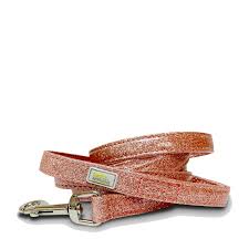 Petite Pistache laisse pour petits chiens 5'
