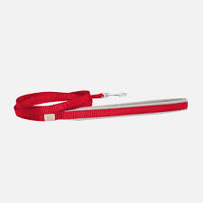 Petite Pistache laisse pour petits chiens 5'