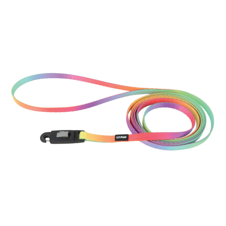 Coastal Li'l Pals Leash for Small Dogs with E-Z Snap Clip 6'