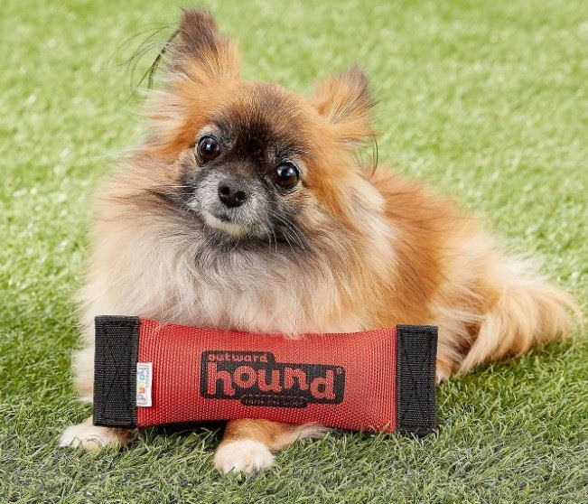 Outward Hound jouet Firehose Fetch