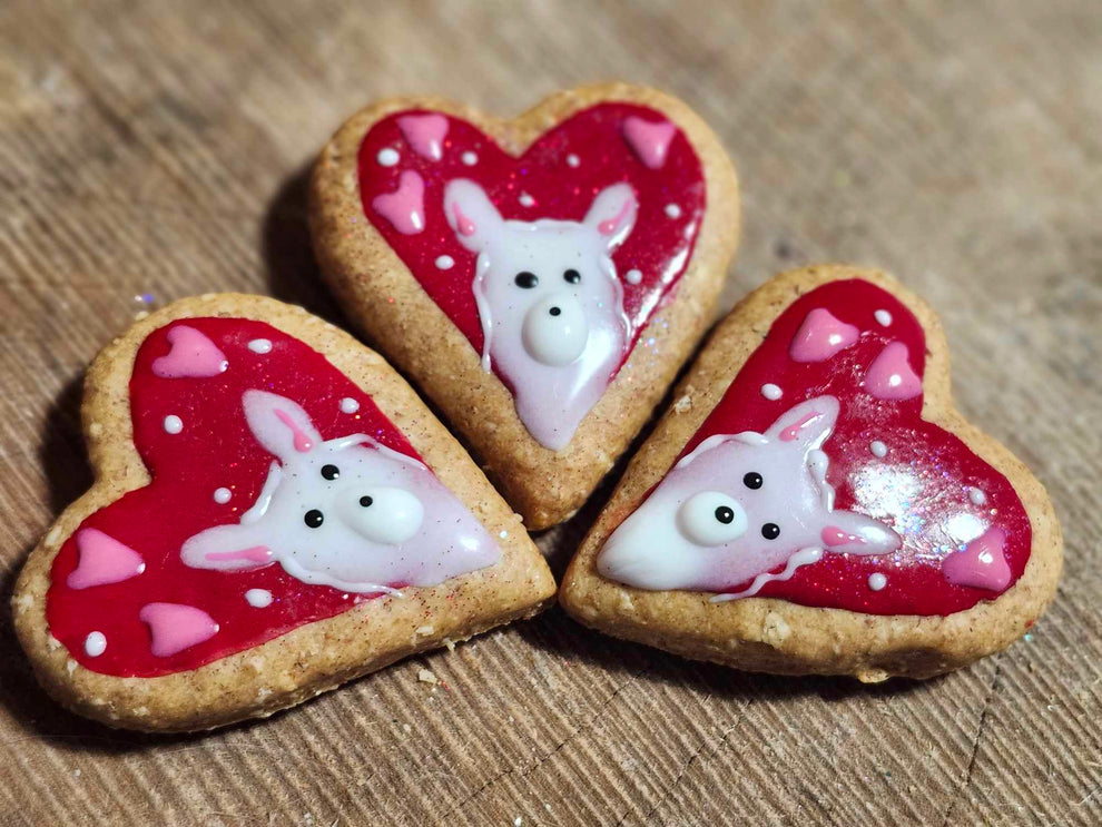 Miouf biscuits pour chiens Collection Saint-Valentin