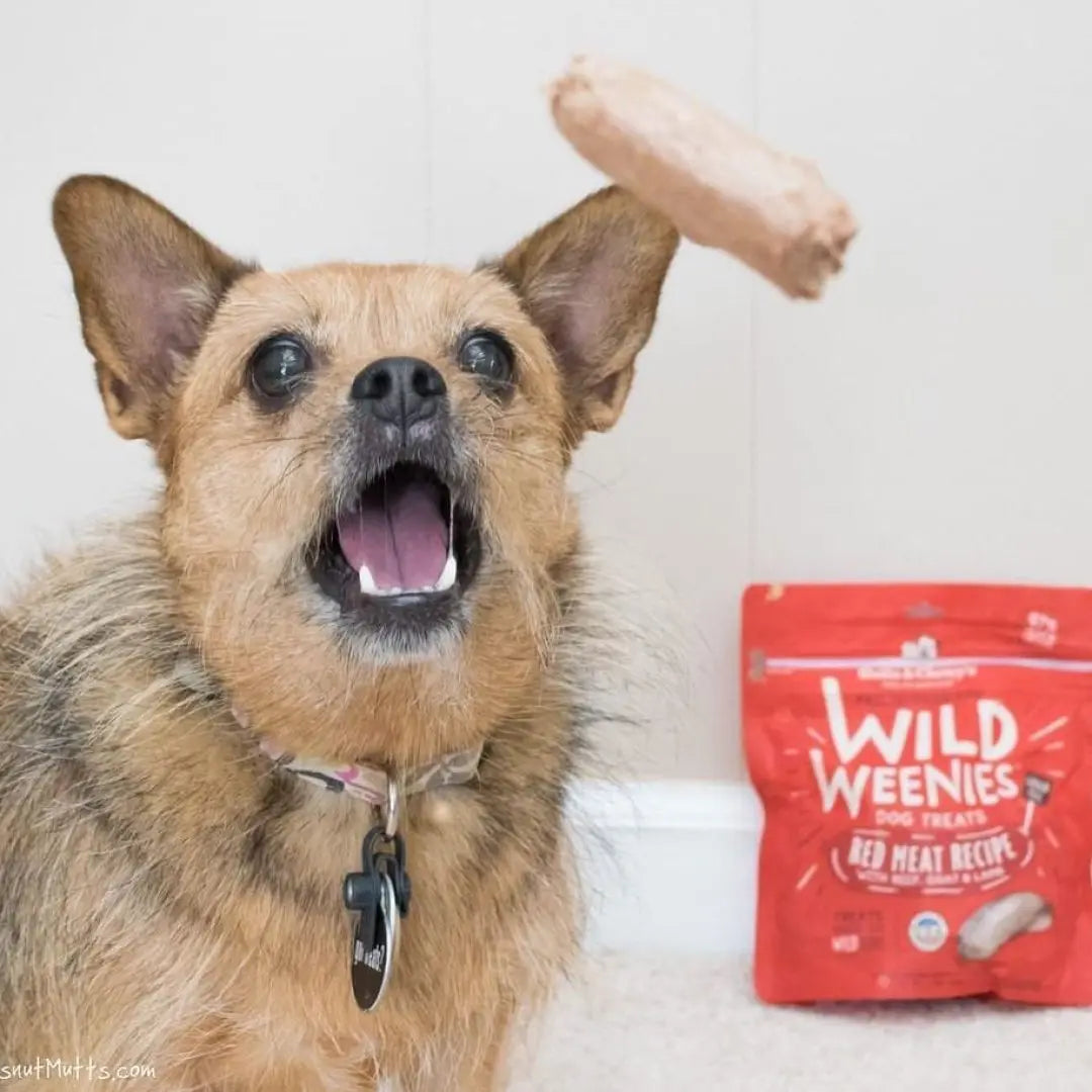 Stella & Chewy's gâterie lyophilisée Wild Weenies recette Viande rouge 92g