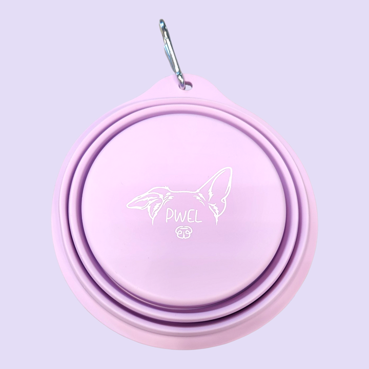 Pwel bol rétractable en silicone