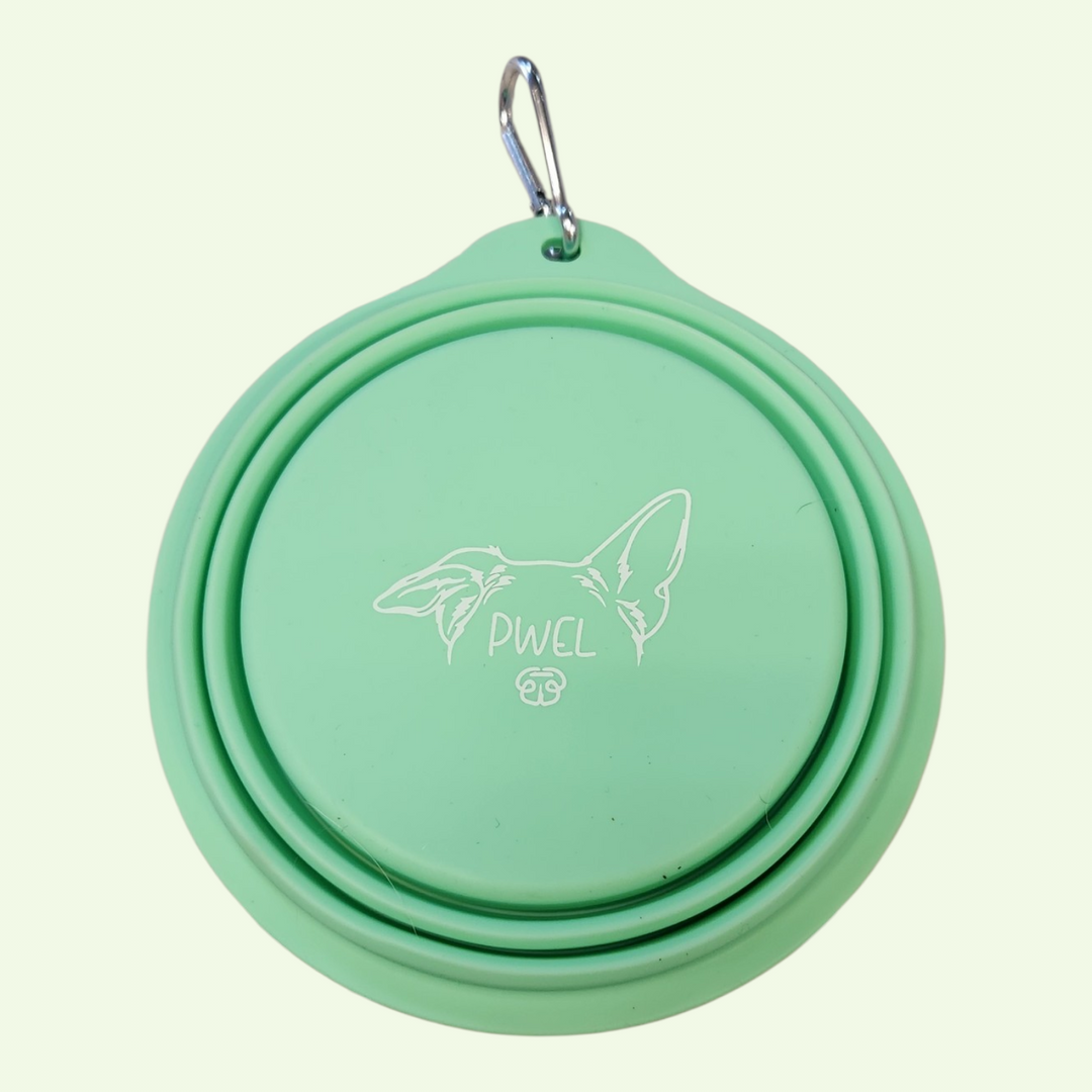 Pwel bol rétractable en silicone