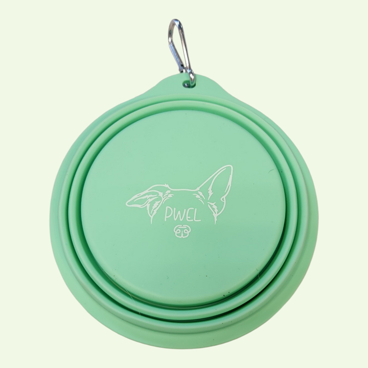 Pwel bol rétractable en silicone