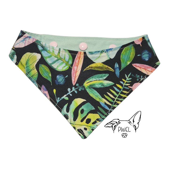 PWEL foulards pour chats et chiens Collection 2026
