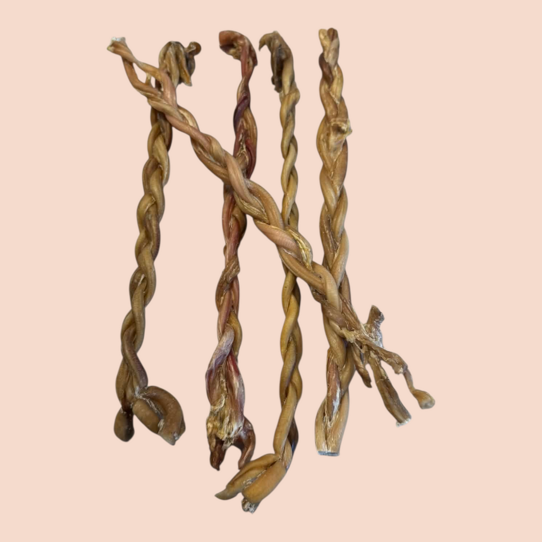 Only One Treats tresse de bully d'agneau 12'' - Paquet économique 5 pour 4