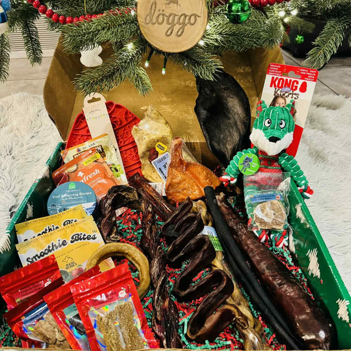 Boutique Döggo boîte de Noël 2025