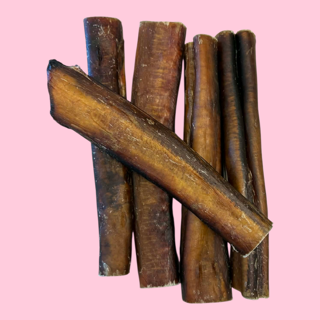 Nature's Own bâton de boeuf Bully Stick Big Dog Jumbo 6'' - Paquet économique 5 pour 4