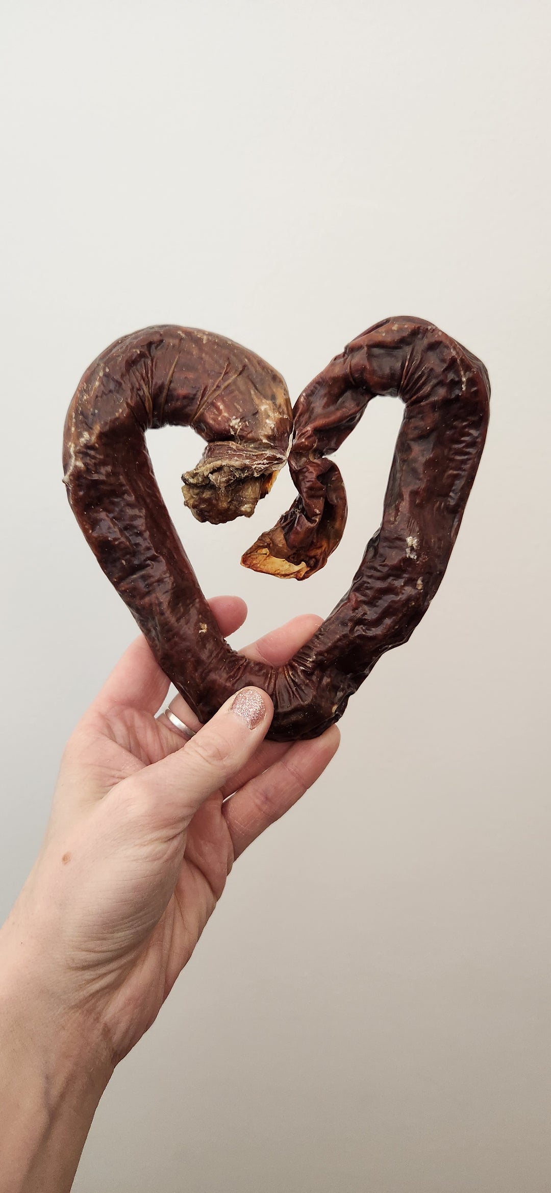 Oesophage de boeuf en forme de coeur