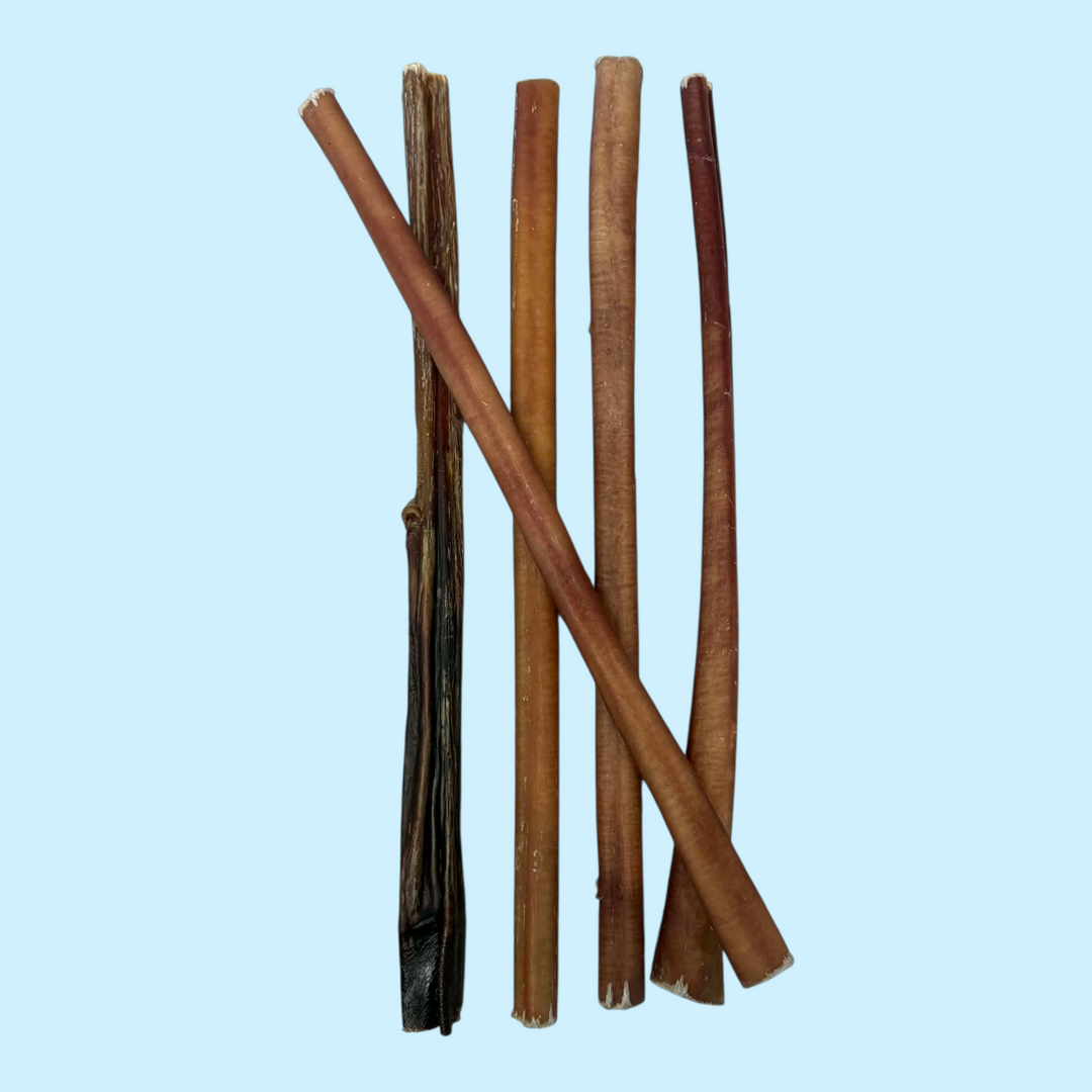 Open Range bâton de boeuf (Bully Sticks) - Paquet économique 5 pour 4