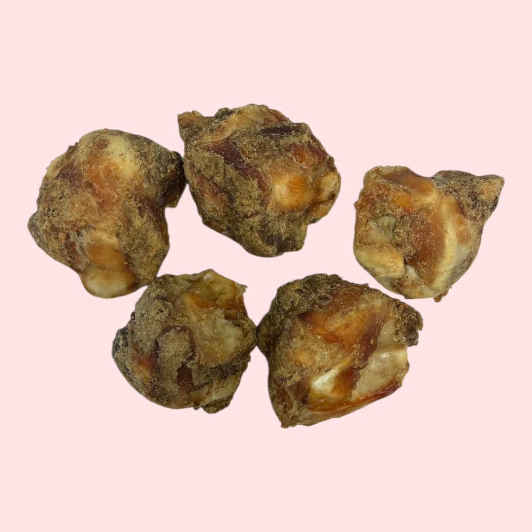 Petz Gourmet os anti-tartre de boeuf (rotule) - Paquet économique 5 pour 4