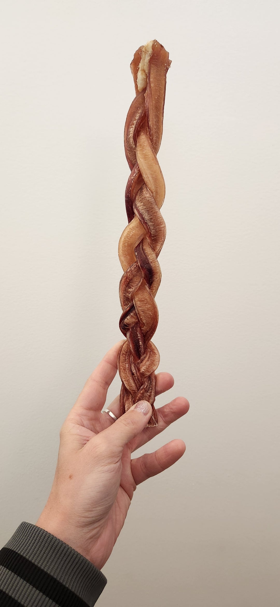 Nature's Own Jumbo Big Dog Braided Beef Stick (Bully Stick) 12"