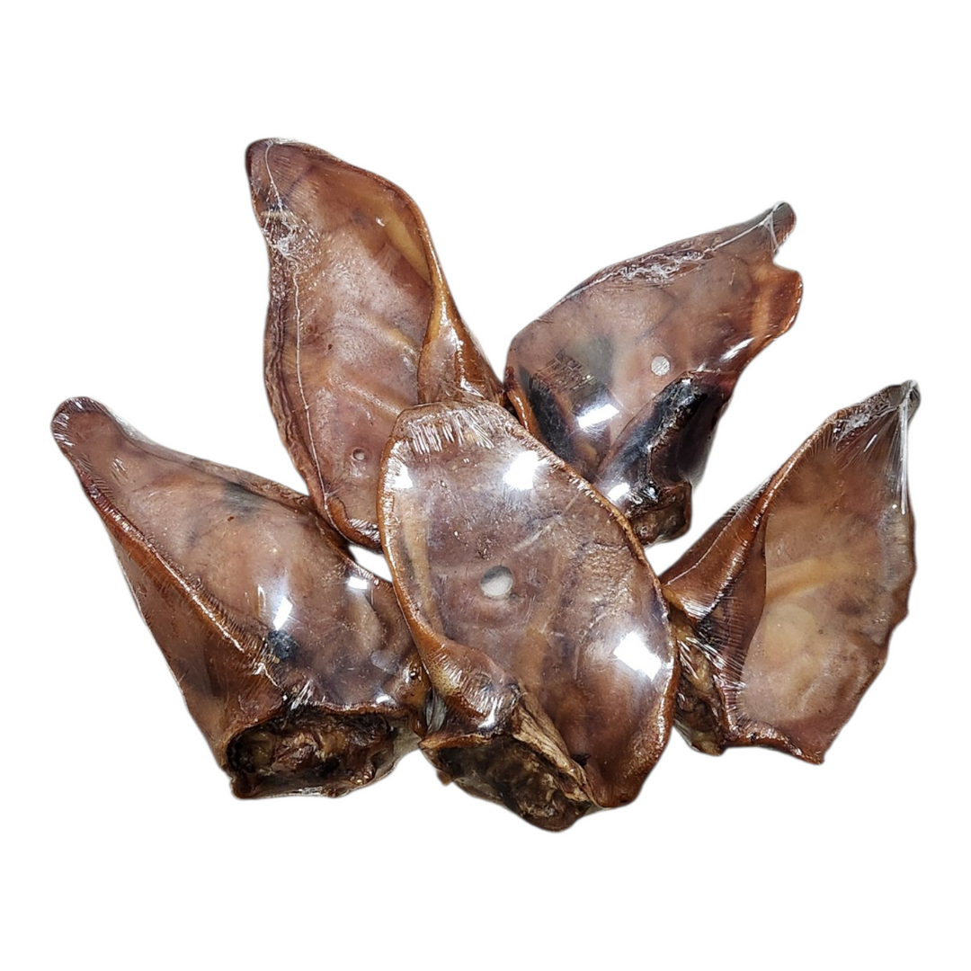Kyon oreille de porc géante - Paquet économique 5 pour 4