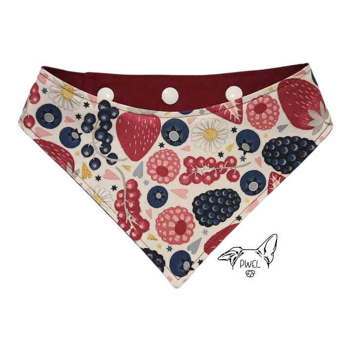 PWEL foulards pour chats et chiens Collection 2026