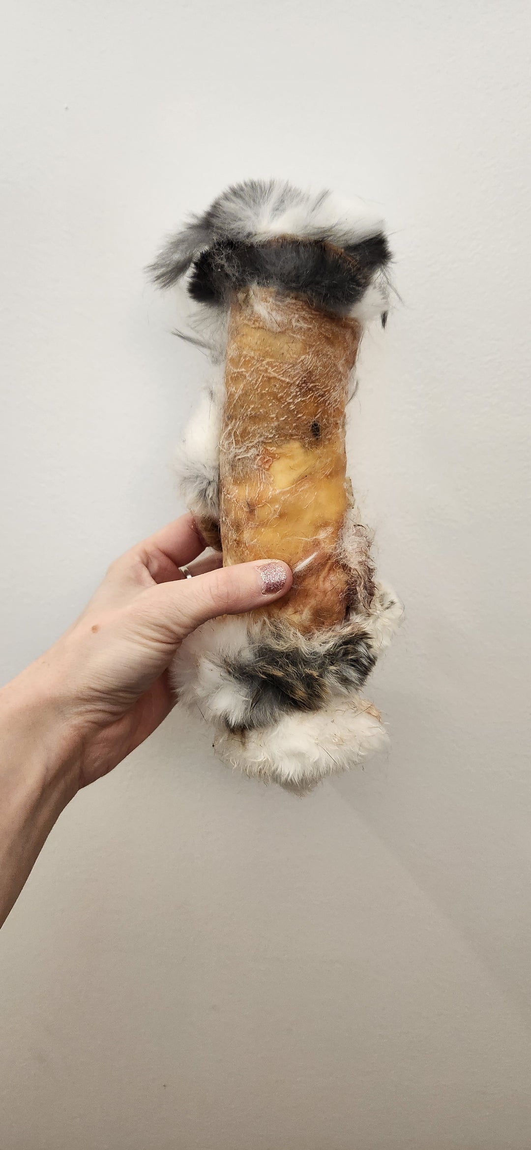 Rouleau de peau de lapin (Buns)