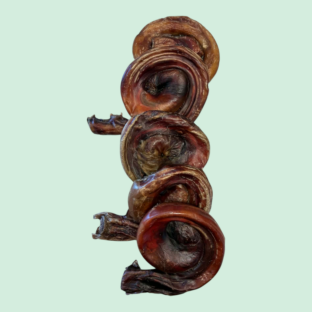 Pür Evolution brioche de bully - Paquet économique 5 pour 4