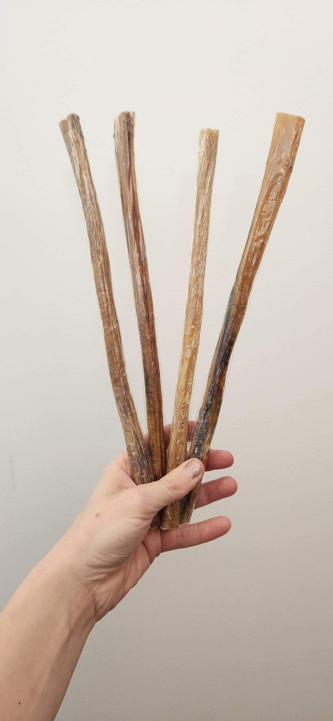 Bâton de buffle d'eau (Bully stick)