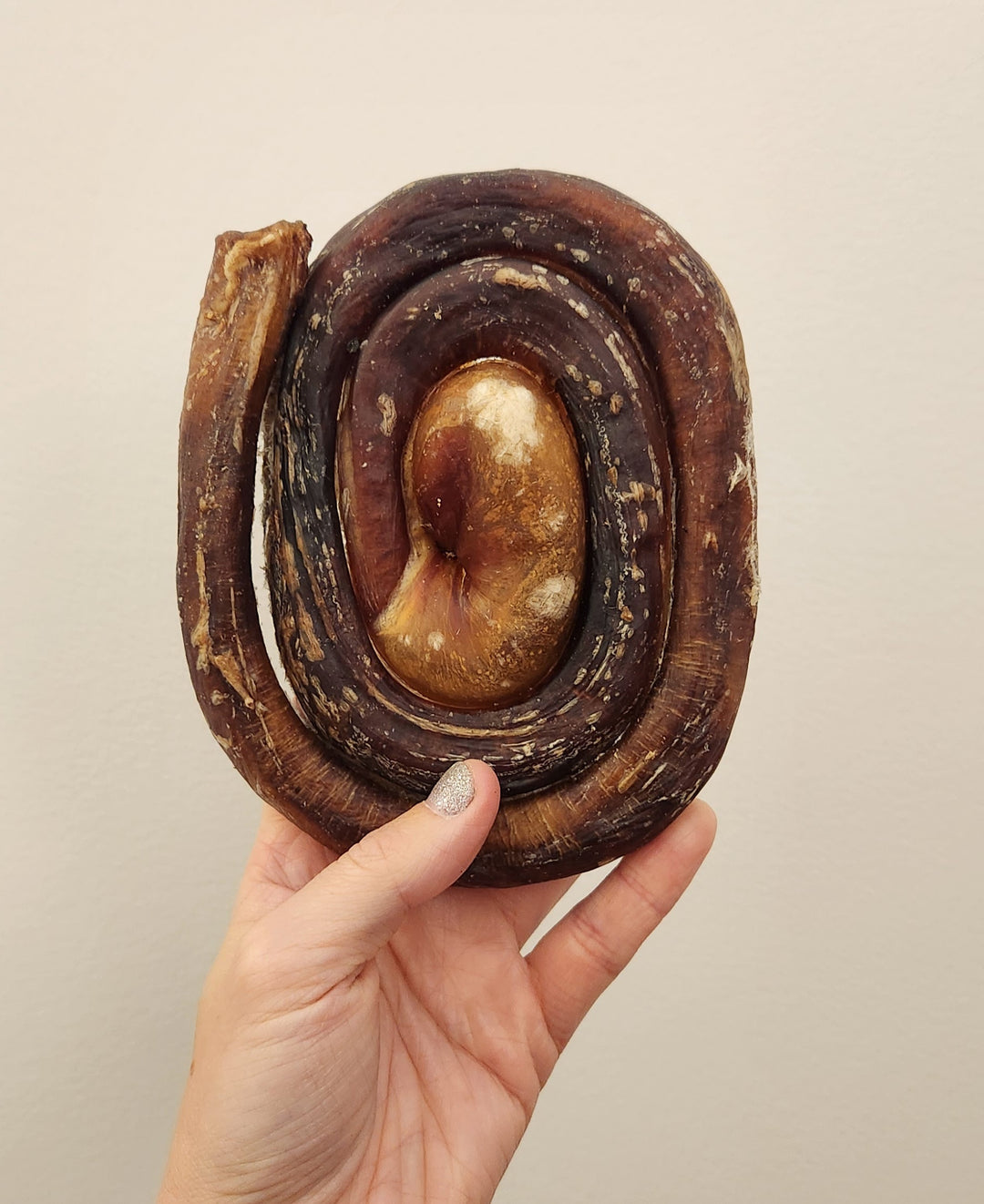 Brioche de bully de boeuf Jumbo
