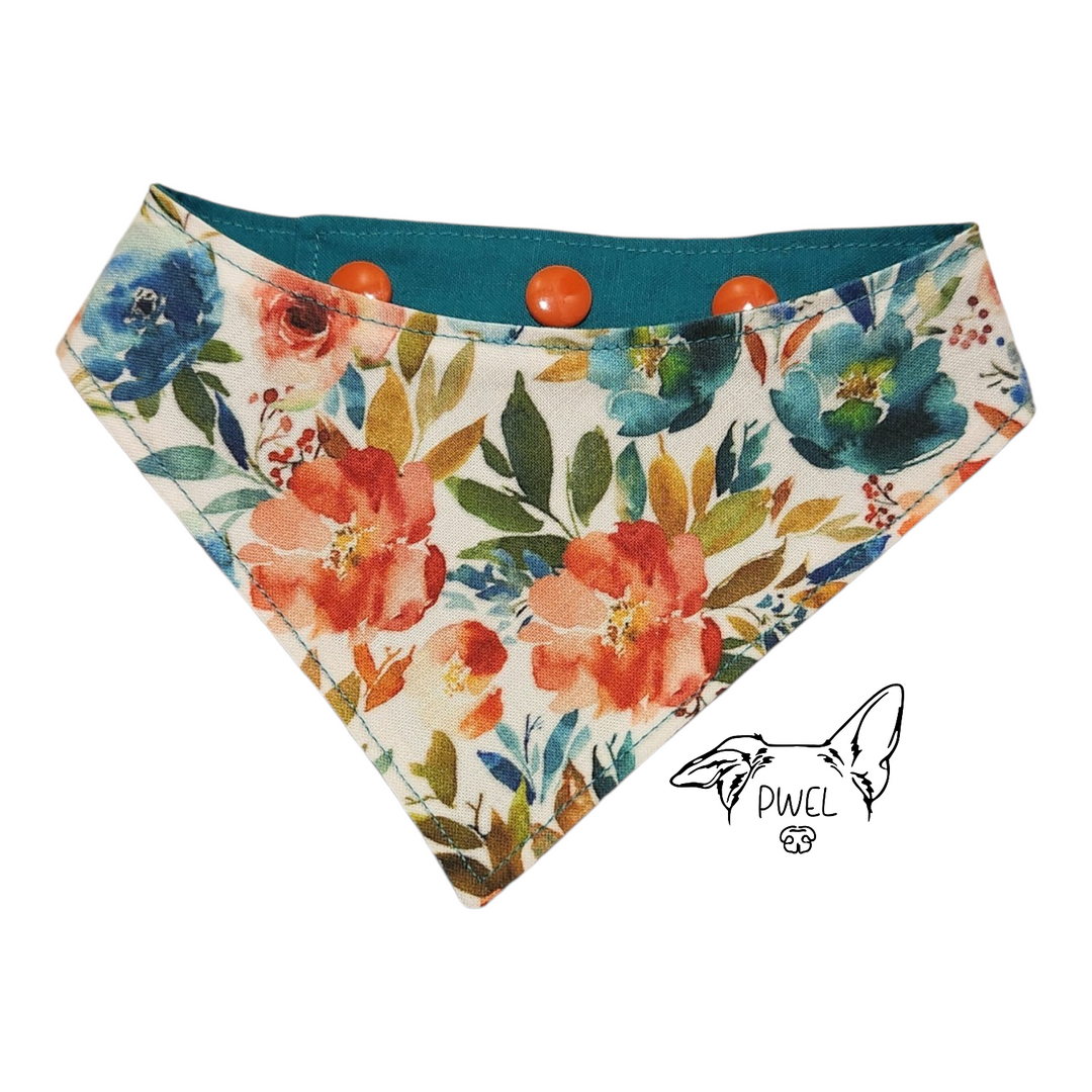 PWEL foulards pour chats et chiens Collection 2026