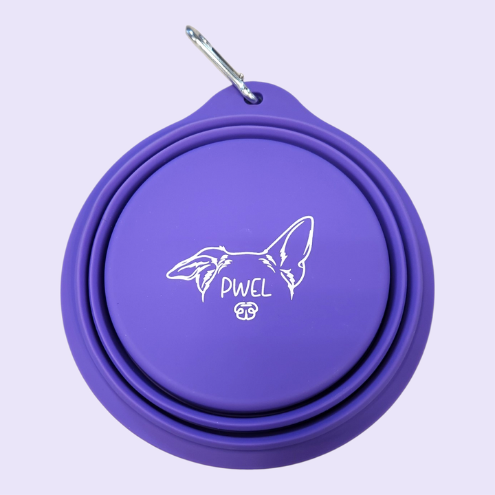 Pwel bol rétractable en silicone