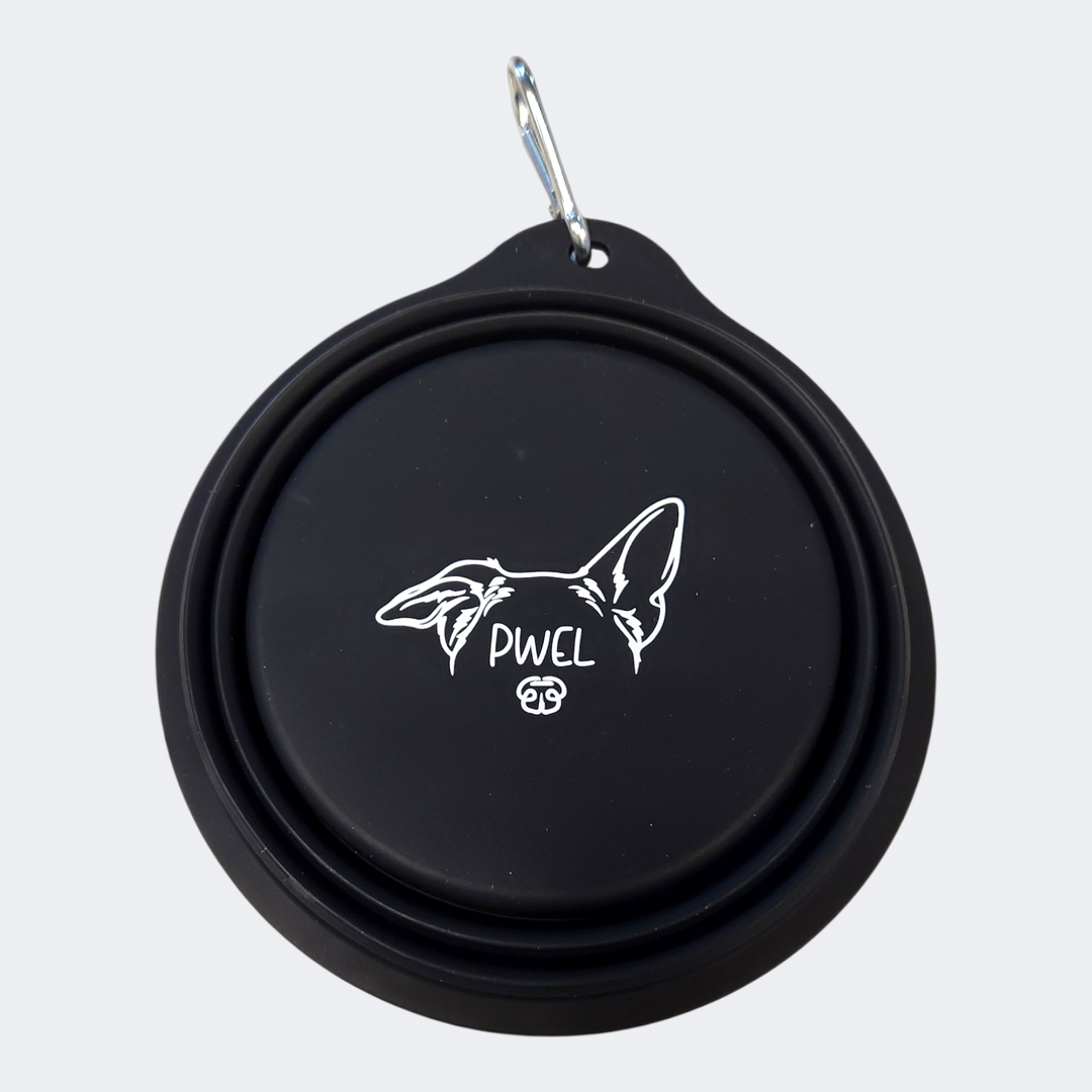 Pwel bol rétractable en silicone