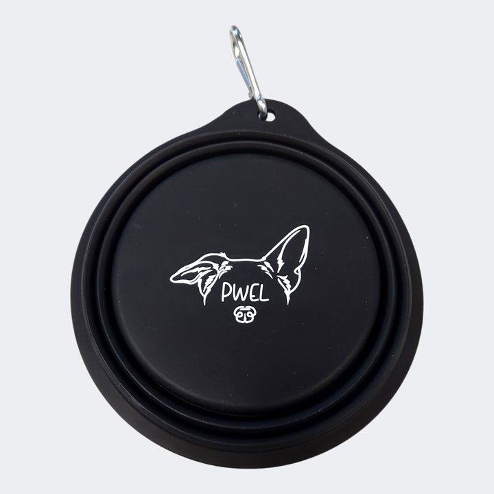 Pwel bol rétractable en silicone